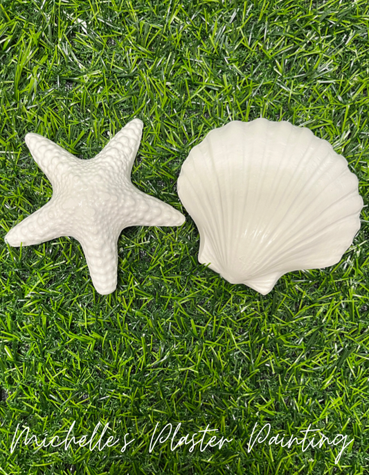 Starfish and Shell